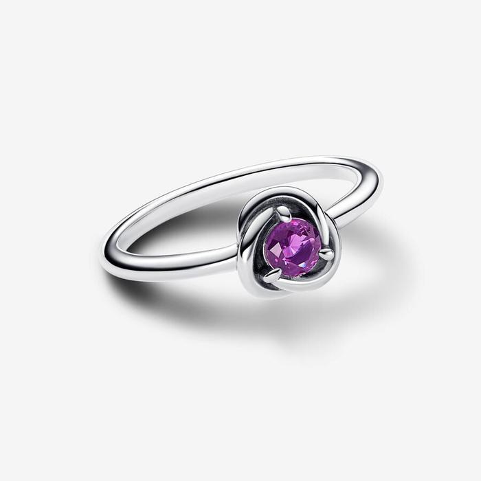 Purple Eternal Circle Ring February