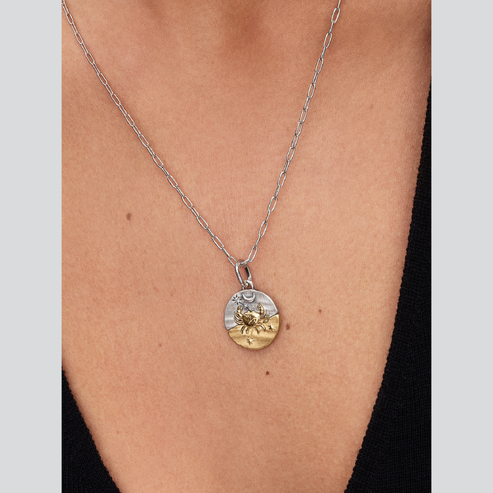 Charm Medallion Cancro
