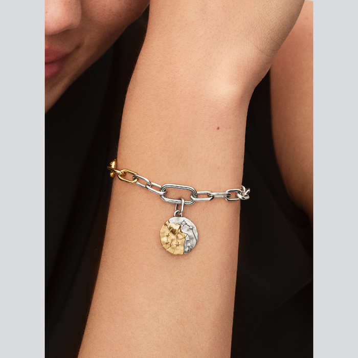 Charm Medallion Acquario