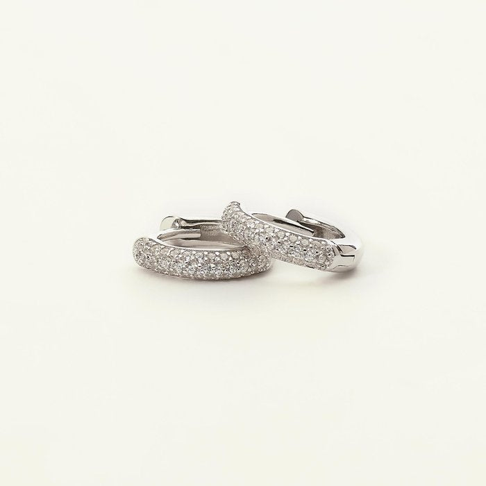 FIXED PAIR earrings