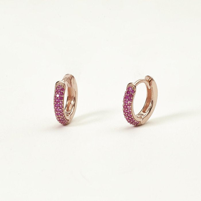FIXED PAIR earrings