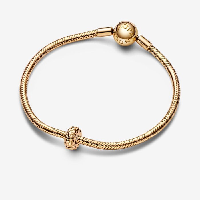 Geometric Slim Charm Clip