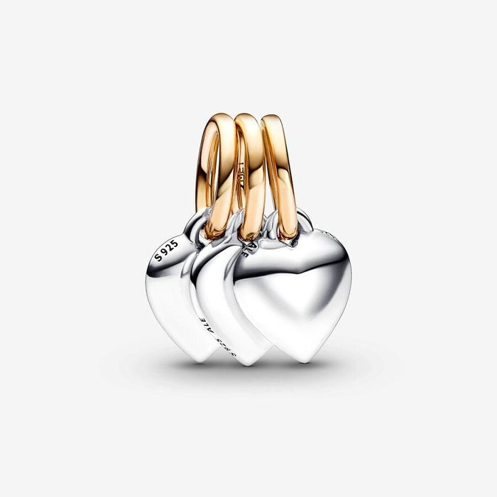 Pendentif Charm « Amis pour toujours » divisible