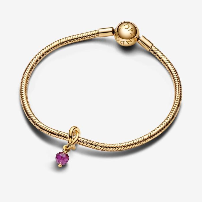 Pendentif Charm Cercle Éternel Violet Février