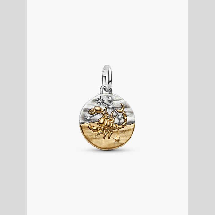 Charm Medallion Scorpione