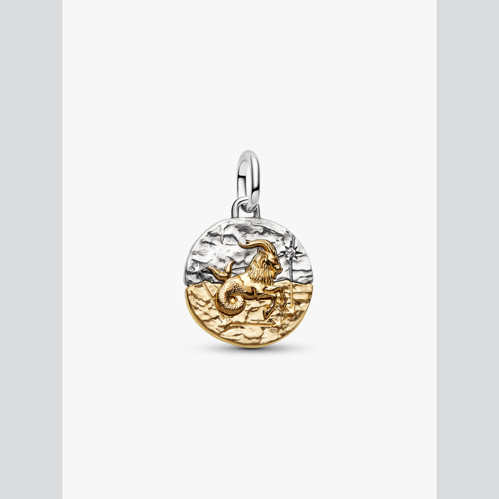 Charm Medallion Capricorno