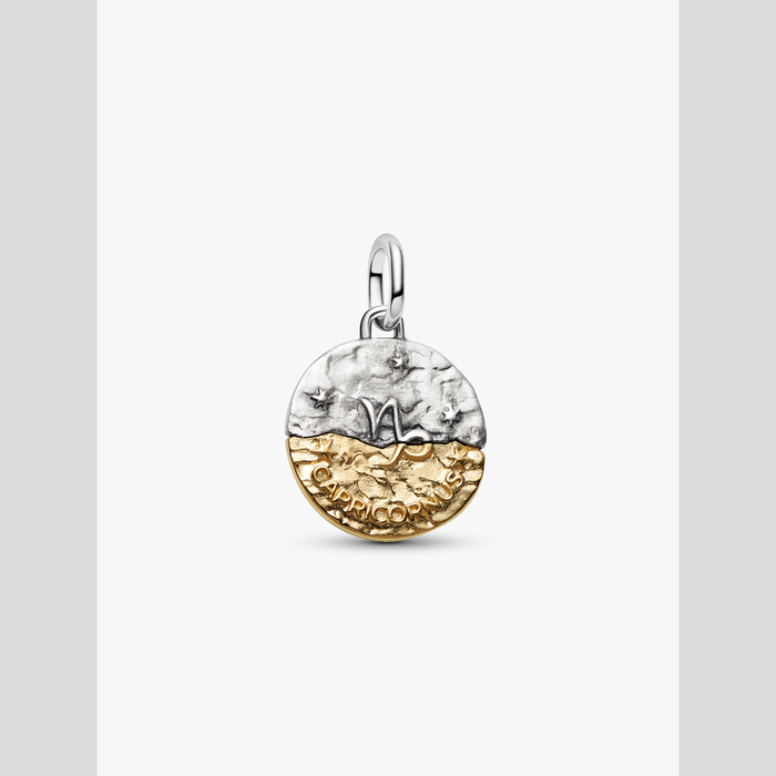 Charm Medallion Capricorno