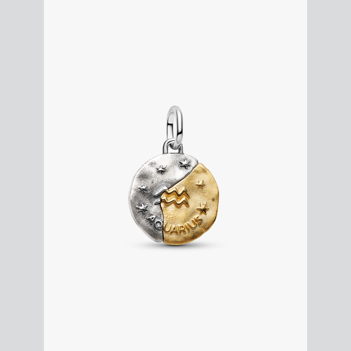 Charm Medallion Acquario