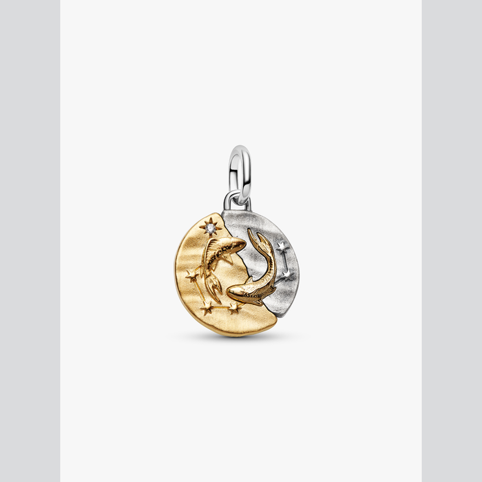 Charm Medallion Pesci
