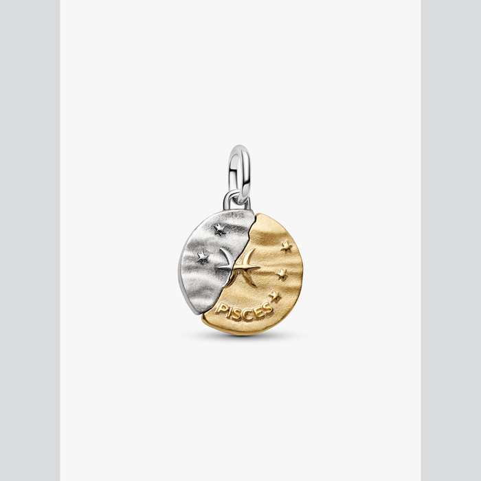 Charm Medallion Pesci