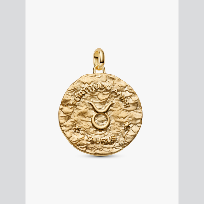Charm Medallion XL Toro "Fortitudo Animi"
