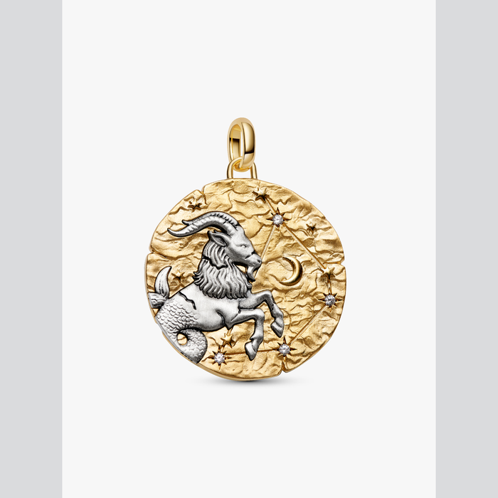 Charm Medallion XL Capricorno "Nihil Difficile Volenti"