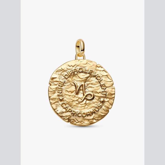 Charm Medallion XL Capricorno "Nihil Difficile Volenti"