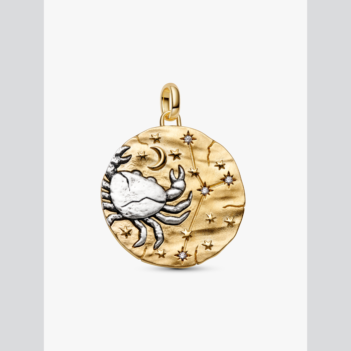 Charm Medallion XL Cancro "Intuitio Animi"
