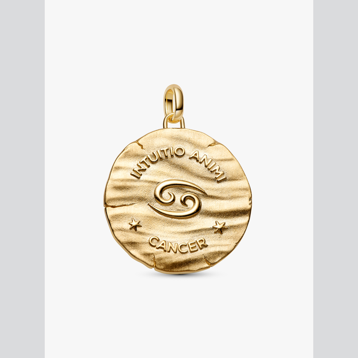 Charm Medallion XL Cancro "Intuitio Animi"