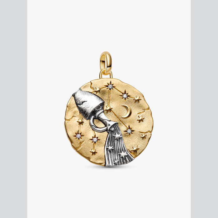 Charm Medallion XL Acquario "Omnia Mutantur"