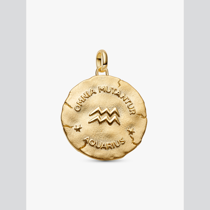 Charm Medallion XL Acquario "Omnia Mutantur"