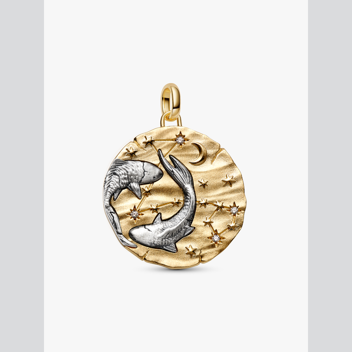Charm Medallion XL Pesci "Memento Somniare"
