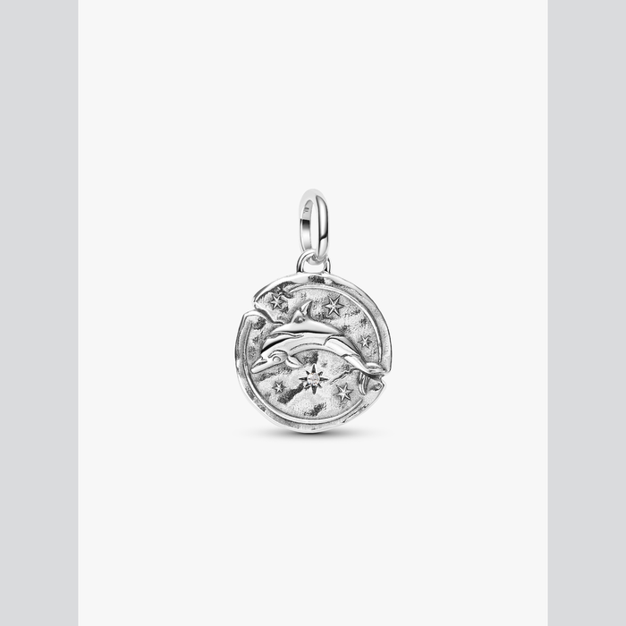 Charm Medallion Delfino "Audaces Fortuna Iuvat"
