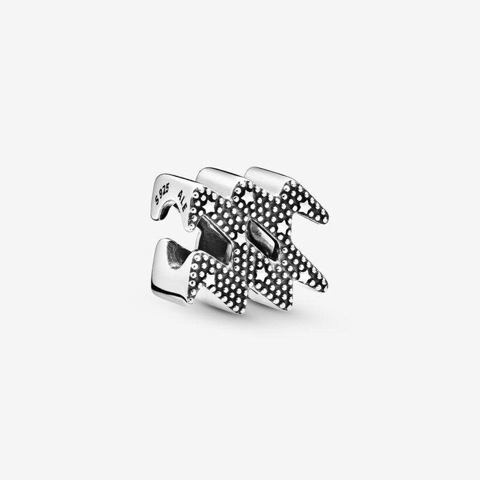 Aquarius Charm