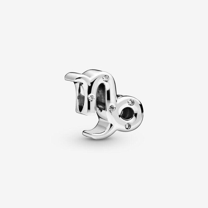 Capricorn Charm