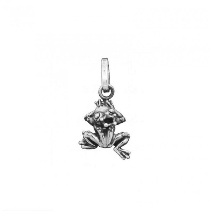 Charme du Prince Grenouille