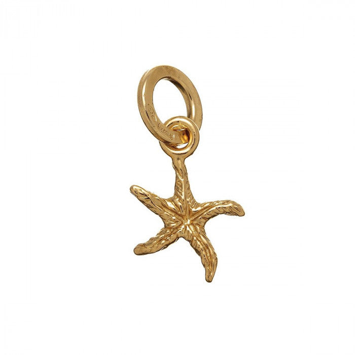 CHARME ÉTOILE DE MER DORÉE
