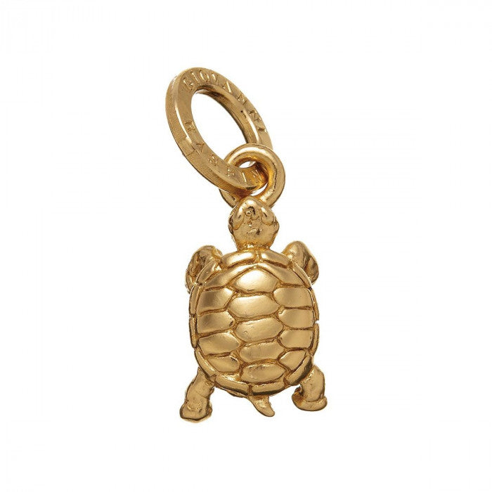 CHARME TORTUE DORÉE