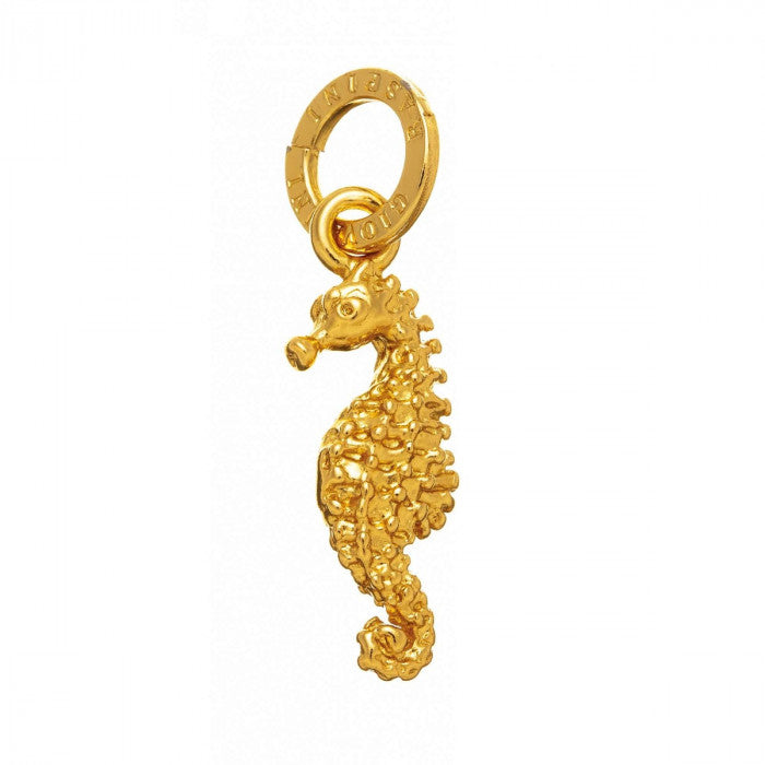 CHARME D'HIPPOCAMPE DORÉ