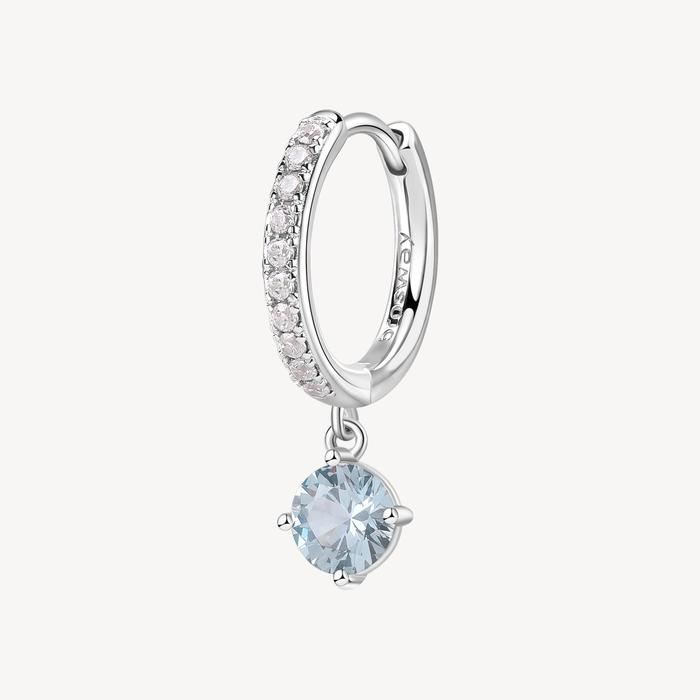 FANCY Earring