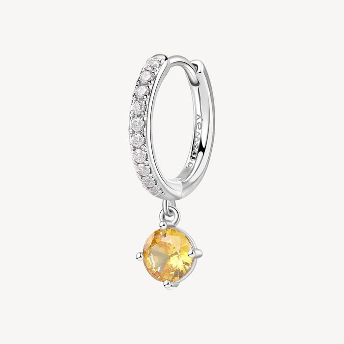 FANCY Earring