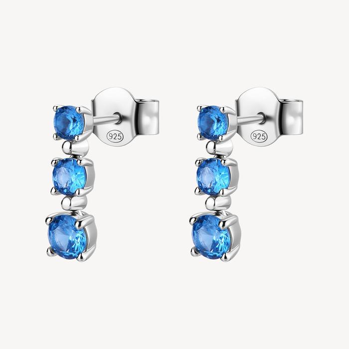 FANCY earrings