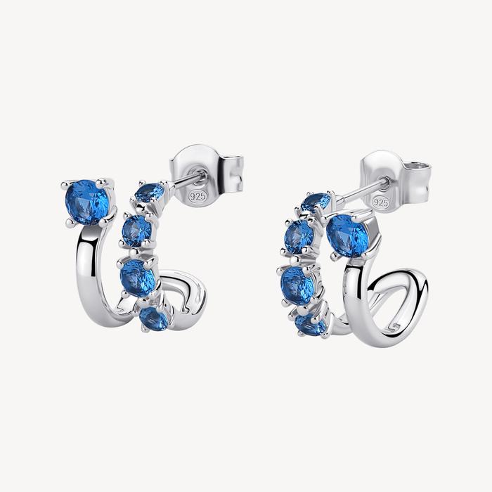 FANCY earrings