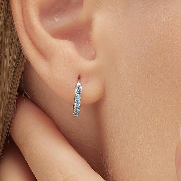 FANCY Earring