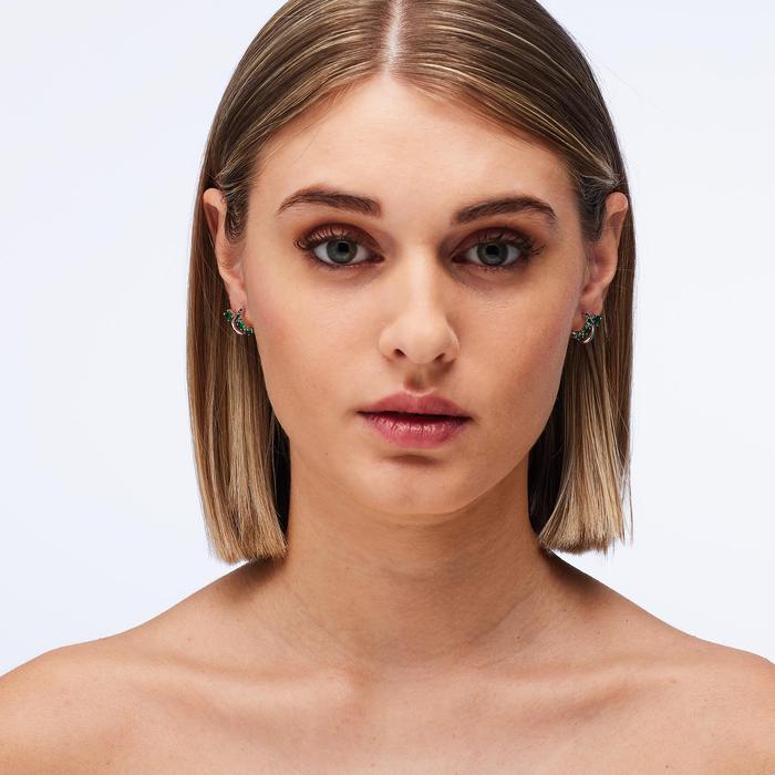 FANCY earrings