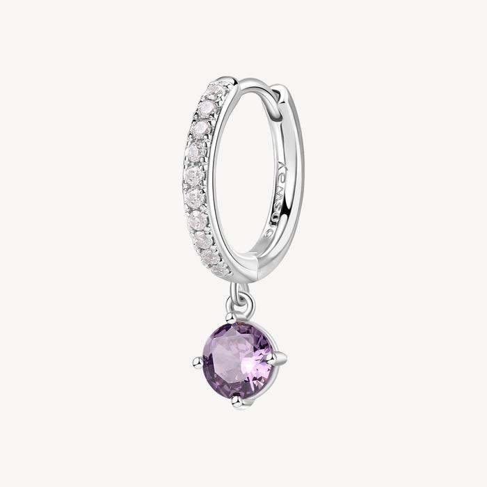 FANCY Earring