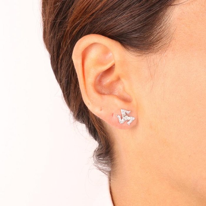 Boucles d'oreilles en argent 925