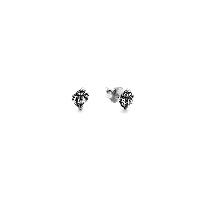Shell Earrings