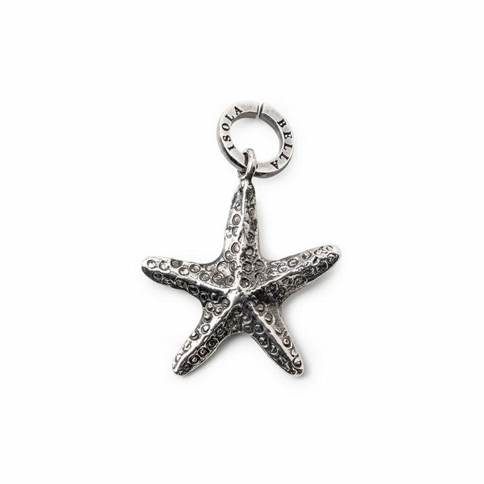 Charme étoile de mer nue