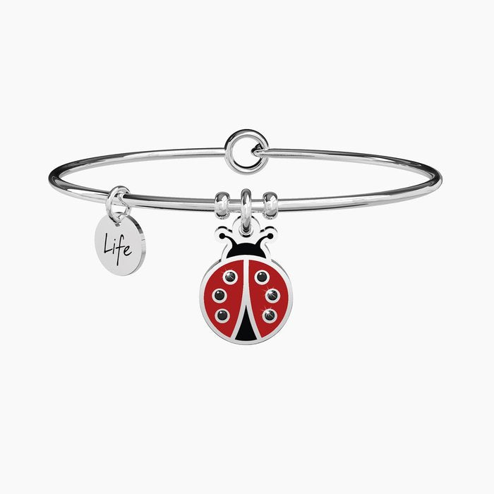 LADYBIRD | LUCK
