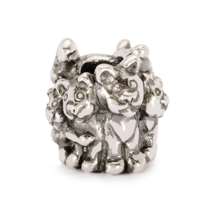 Bead famiglia di gattini