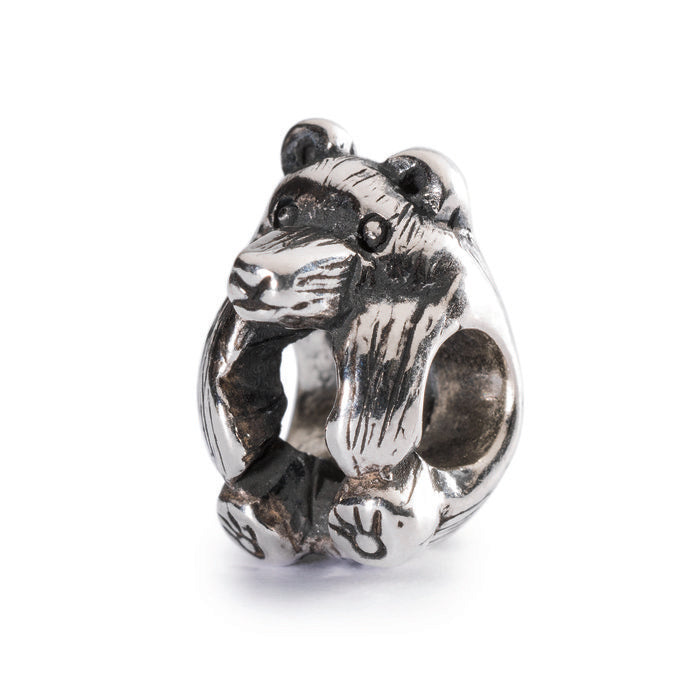 Orso Bruno