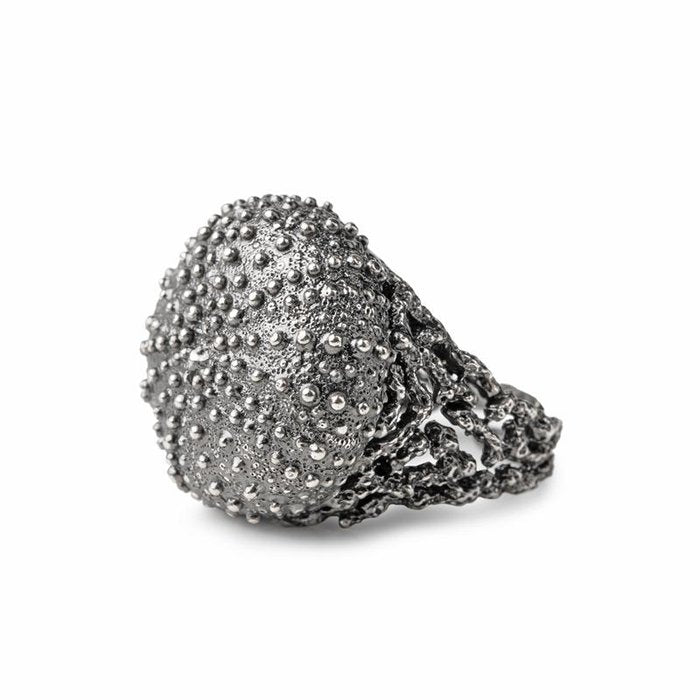 Anello Riccio Carosello Nude