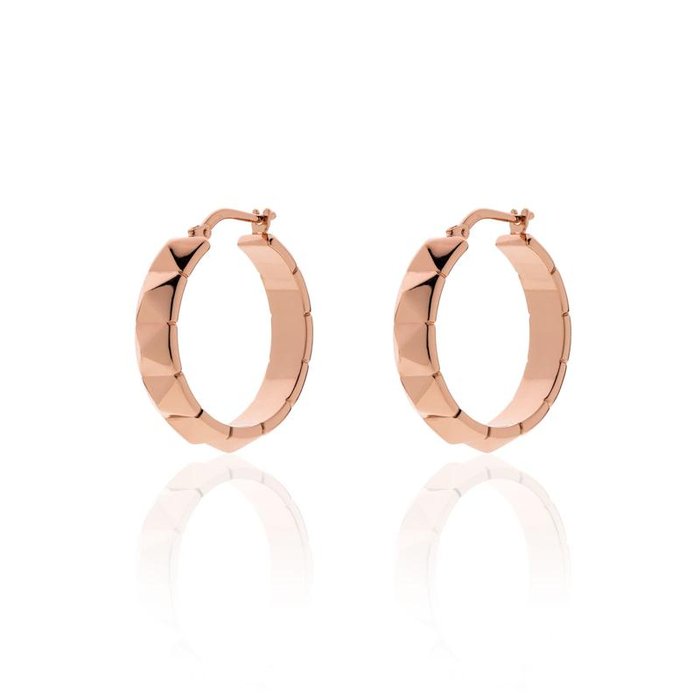Rose Gold Bronze Earrings