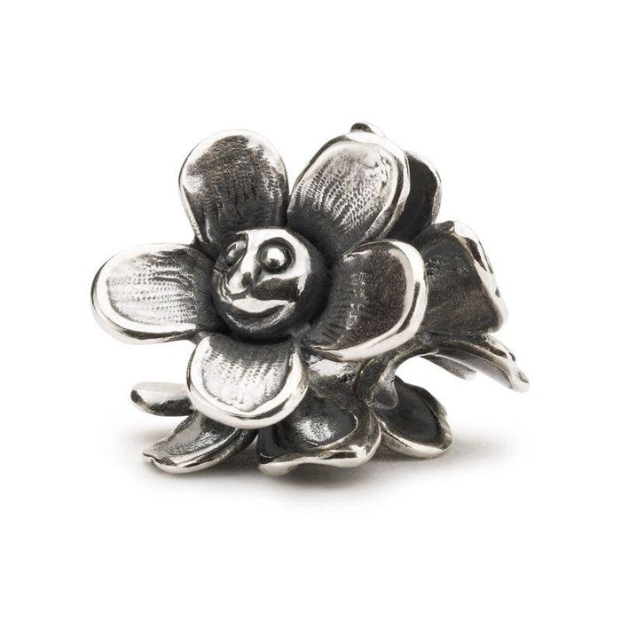 Fleurs souriantes