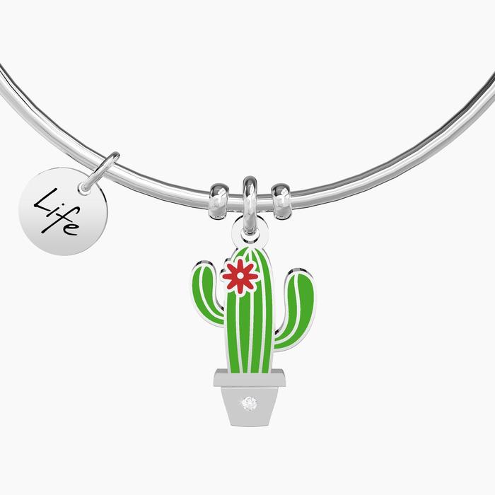 CACTUS | AU-DELÀ DES APPARENCES