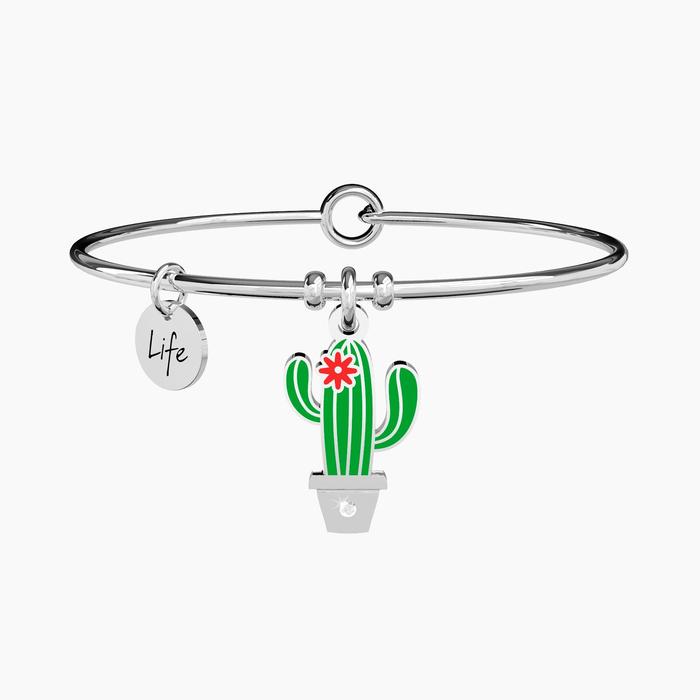 CACTUS | AU-DELÀ DES APPARENCES