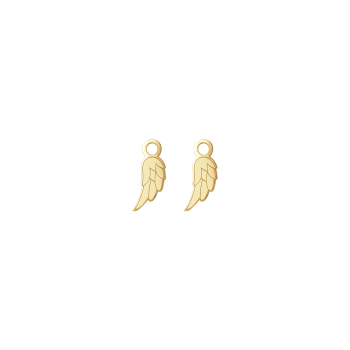 STEEL WING CHARM