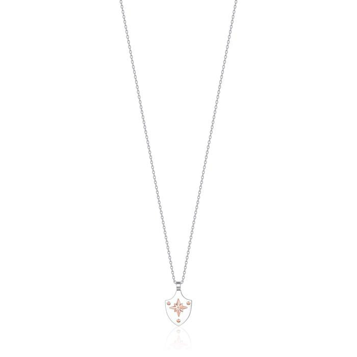 Collana In Acciaio Con Rosa Dei Venti In Acciaio Ip Rose