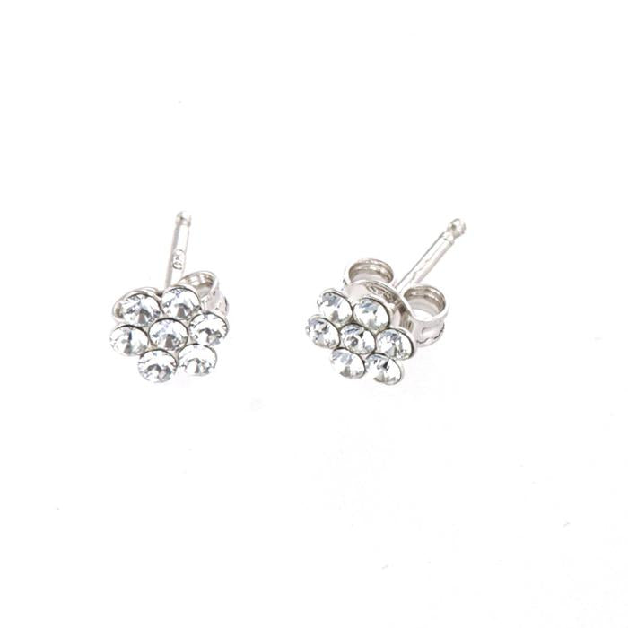 Orecchini In Argento 925